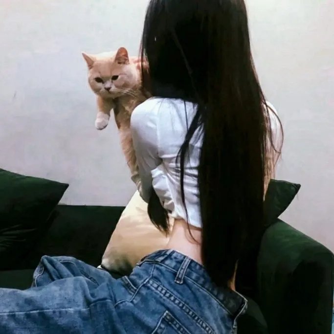 小偷家伙, 小偷骗子